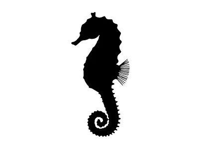 Seahorse black design illustration marine ocean sea seahorse silhouette vector