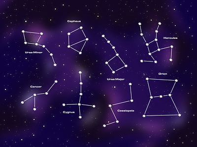 Constellations 🌌 cancer cassiopeia cepheus constellations cygnus design gradients hercules illustration orion stars ursamajor ursaminor vector