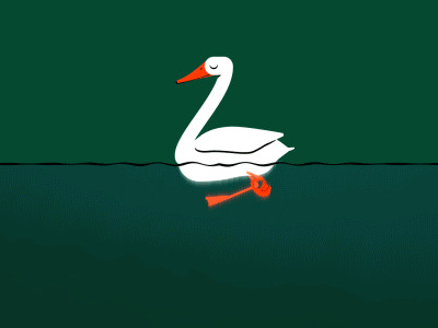 Duck 2d after effects animation duck goose green motiongraphics splash swimming