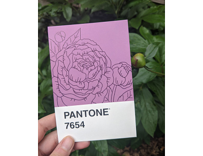 Peony Pantone Postcard art drawing hand drawn illustration ink nature
