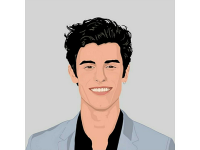 Shawn Mendes illustration digital art