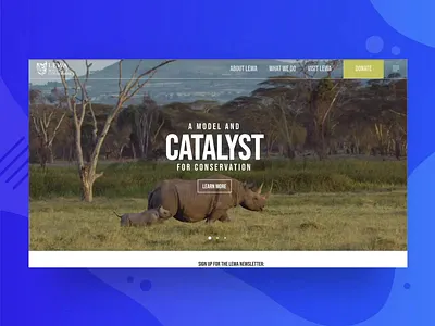LEWA Nonprofit Website animation cause design integration lewa nonprofit nonprofits ui ux video website website design wordpress