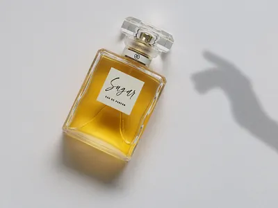 Feminine Hand Shadow Overlay branding creative design creativemarket design digital feminine graphics hand hand drawn illustration illustrations shadow shadowoverlay