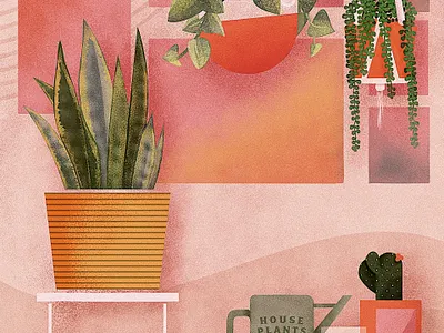 House Plants garden hanging plants house house plants plants procreate snake plant sting of pearls