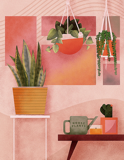 House Plants garden hanging plants house house plants plants procreate snake plant sting of pearls
