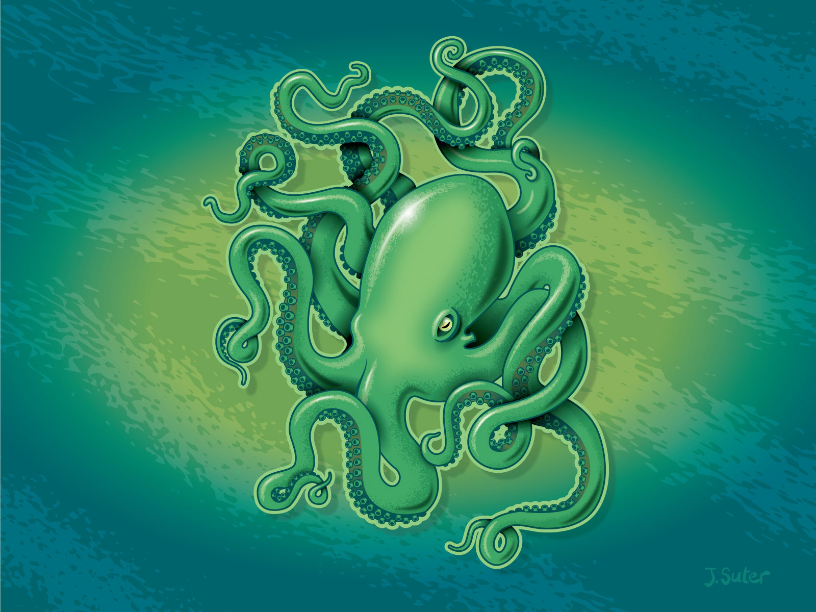 Example of Octopus Illustration