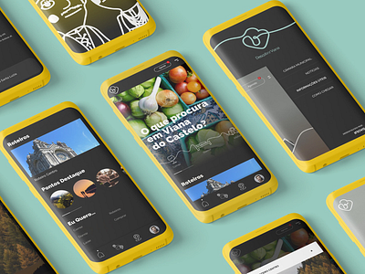 Descobrir Viana app branding ui ux