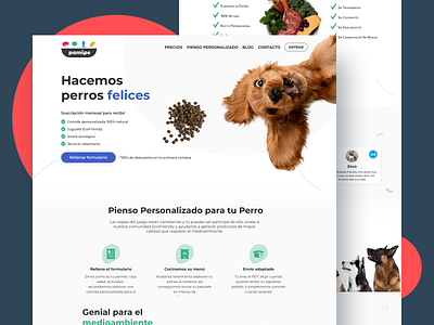 Pamipe Website animals dog dogs inspiration love pets service startup ui ux web webdesign website websites