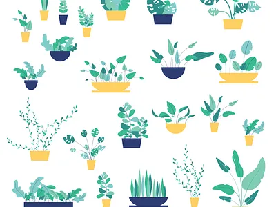 Collection of plants animation art design flat illustration flatdesign illustration illustrator leaf minimal plant plant illustration vector