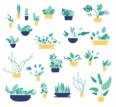 Collection of plants animation art design flat illustration flatdesign illustration illustrator leaf minimal plant plant illustration vector