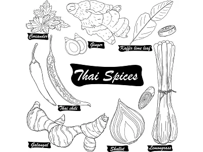 Black line hand drawn Thai spices cuisine design food hand drawn illustration line natural organic outline spicy thai food vector