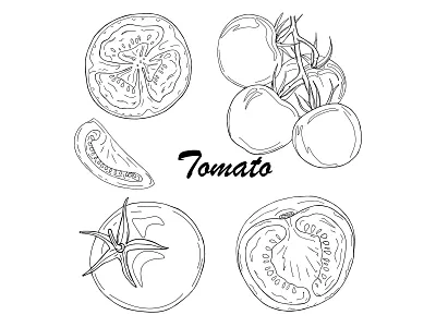 Black line tomato set design food hand drawn illustration line natural organic outline tomato vector vegan