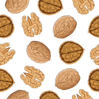 Colorful walnut pattern design natural nuts organic pattern seamlesspattern vector walnut