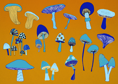 Mushrooms hand drawn illustration illustration art mushroom mushrooms photoshop