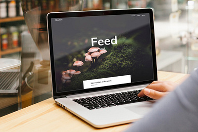 Feed Landing Mock Up feed mushrooms photoshop ui design website website concept website design