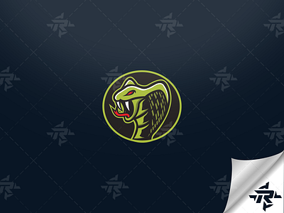 Snake Mascot Logo Concept branding design illustration logo vector