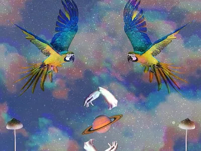 Bird Immunity Cover album cover collage art collageart cover illustration music photoshop psychedelic techno