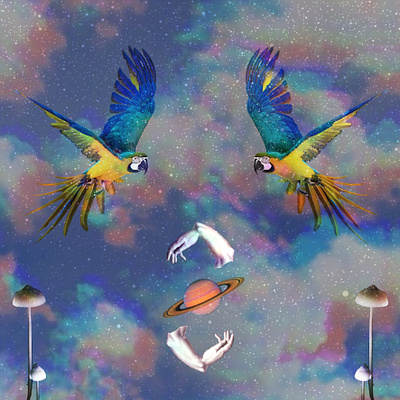 Bird Immunity Cover album cover collage art collageart cover illustration music photoshop psychedelic techno