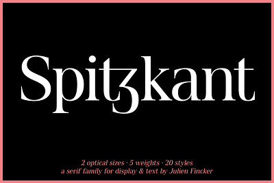 Spitzkant Font Family branding design editorial font fontdesign graphic type typedesign typeface typography