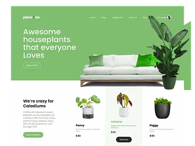 Plantsome - Landing page calm website dopely colors green ui home website landing page mrpugo plant website ui ux