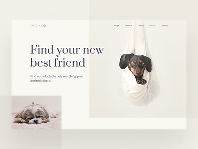 Sevendogs Website dailyui design dog doggy figma inspire interaction design ui ui ux ui design uidesign uiux user interface ux design web web design webdesign website website design webui