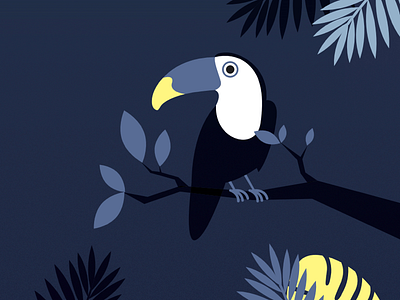 Bird bird children illustration kids books