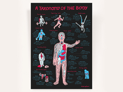 Taxonomy Series — The Body custom type illustraion lettering