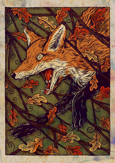 Fox drawing fox hand drawn illustration illustration art ink nature pen pen and ink sam dunn