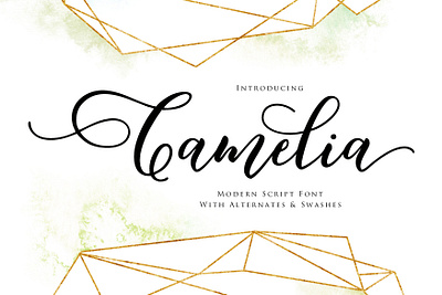 Camelia Script branding design illustration lettering logo logotype modern calligraphy modern calligraphy font typography website
