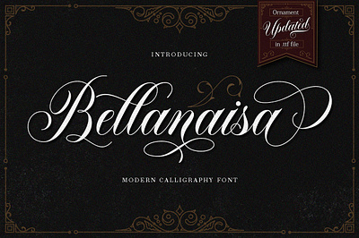 Bellanaisa Script art branding design illustration lettering logotype modern calligraphy modern calligraphy font type typography
