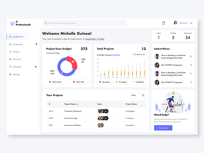 Dashboard Design for IT Consultants dashboard dashboard design timesheets uidesign visualdesign webdesign website design