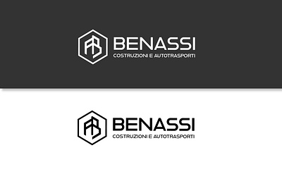 Fabio Benassi Constructions - Logo Design brand construction design illustrator logo logo concept logo creation logo design