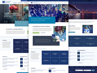 International Brain Injury Association Website Redesign craftcms responsive responsive website uiux web design website