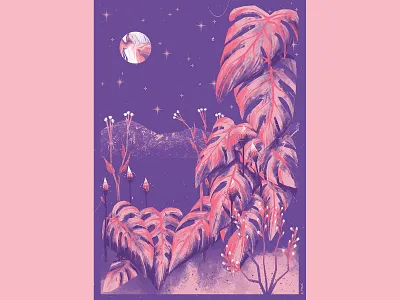 Monstera in the starlight art artwork illustration jungle tropical
