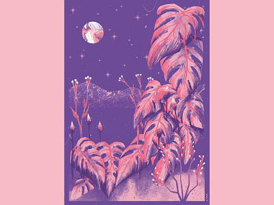 Monstera in the starlight art artwork illustration jungle tropical