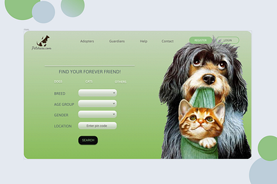Pet adoption Web design art design illustration minimal ui ux web website