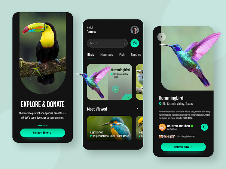 Animal Conservation App by MQoS UI/UX for MultiQoS on Dribbble