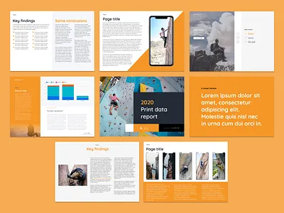 Print data report data print report
