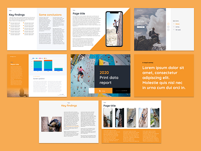 Print data report data print report
