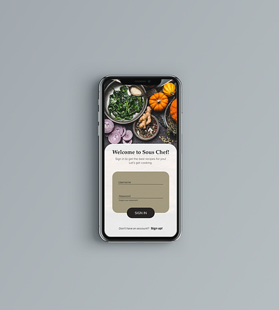 #DailyUI Day 01 - Login application ui design login screen mobile app ui design