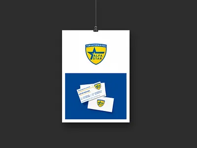 Alfastar identity branding corporate design identity