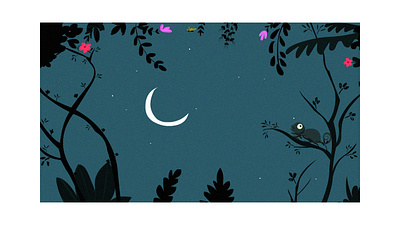 Night