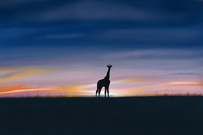 Giraffe Silhoutte illustration procreate procreate app sketch