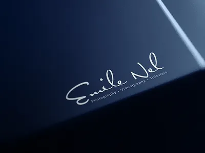 Emile Nel brand identity branding design calligraphy custom handmade logo logo design photographer photography print design signature logo videography