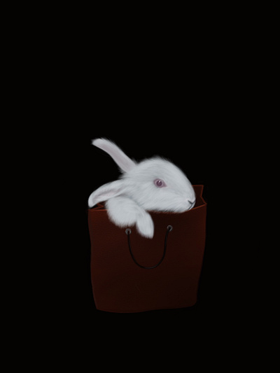 My floof animal illustration procreate procreate app rabbit