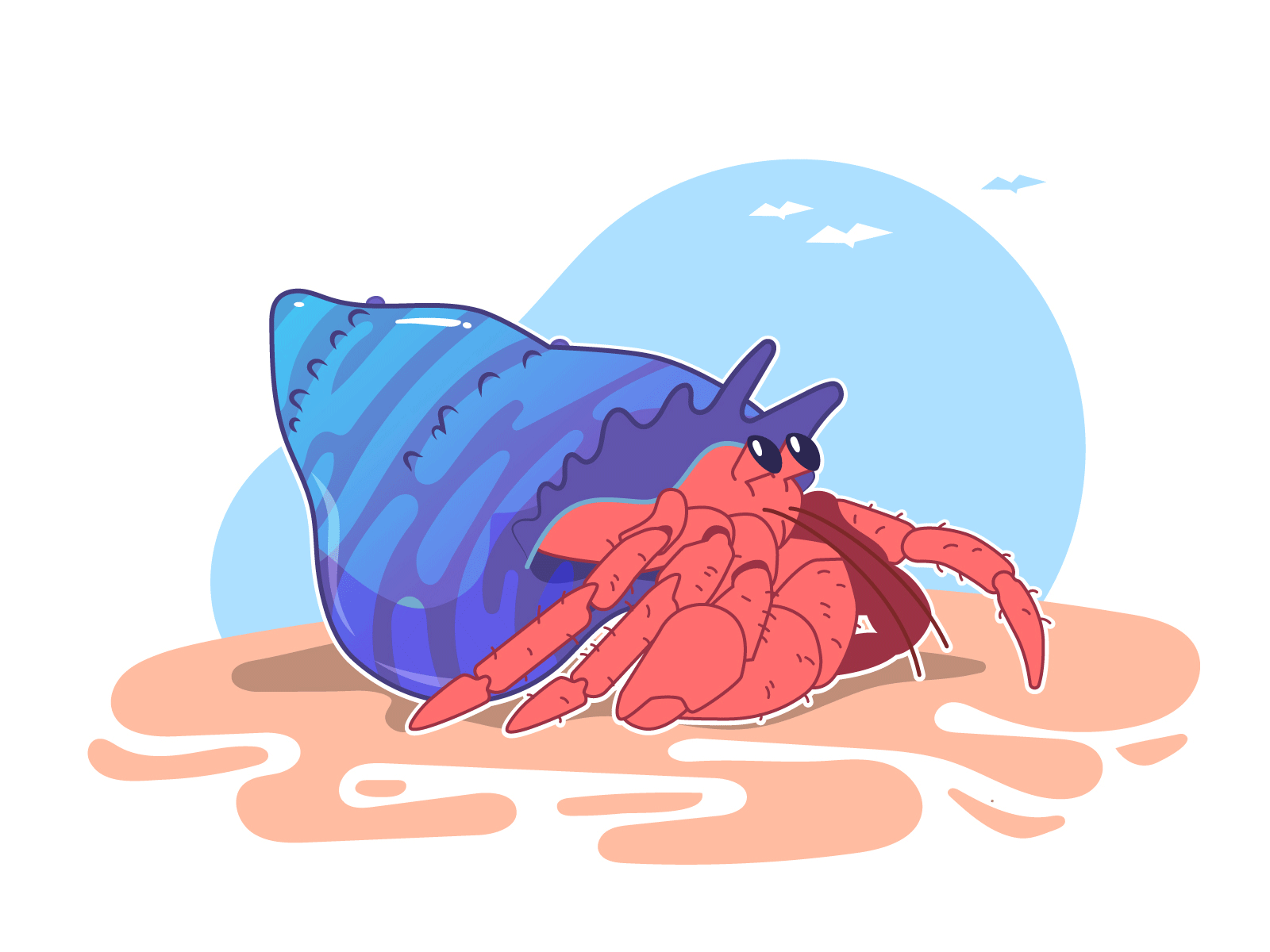 The Secret of the Hermit Crab adobe after effects adobe illustrator animation beach butt hermit crab naked sealife vector illustration