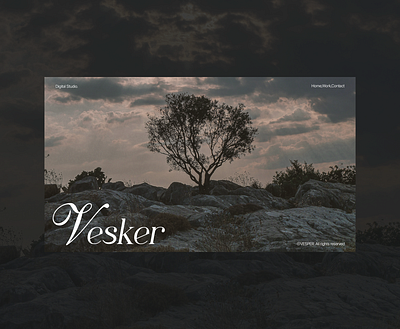 Vesker - Design Agency framer ui visual