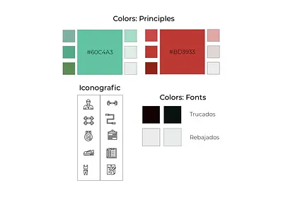 TrainerVoll - Style guide branding color fonts design iconography icons picking color principal colors ui ux