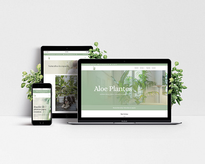 Aloe Plantes - Web Design barcelona branding graphicdesign graphicdesigner plant plant shop plants responsive responsive design web webdesign webdesigner