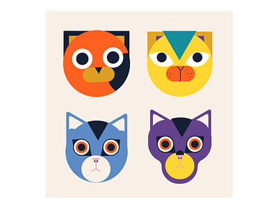 Cats animal cartoon cat character design illustration pet vector vectorart